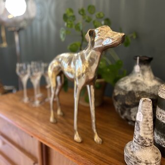 Vintage messing windhond whippet groot | Sprinkelhop